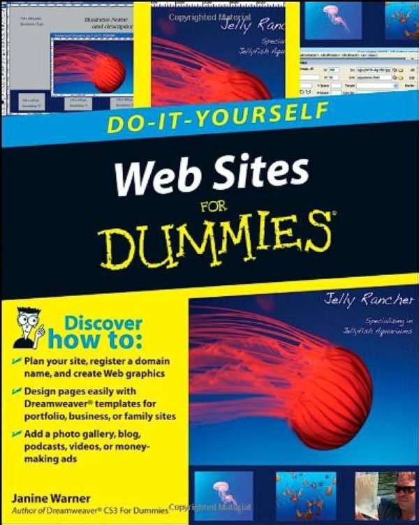 Web Sites for Dummies ebook by janine warner